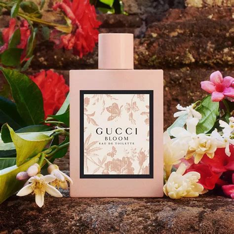 giá gucci bloom 100ml|gucci bloom fragrantica.